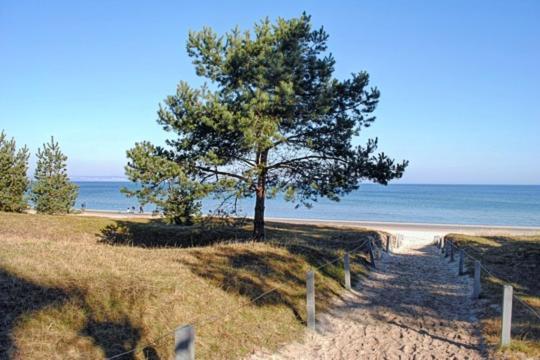 Strandvilla Aegir Mit Ostseeblick 宾茨 外观 照片